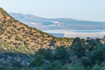 Madera Canyon View