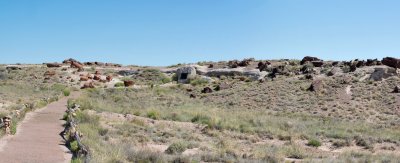 Petrified Forest National Park