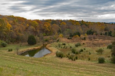 Lake Frederick