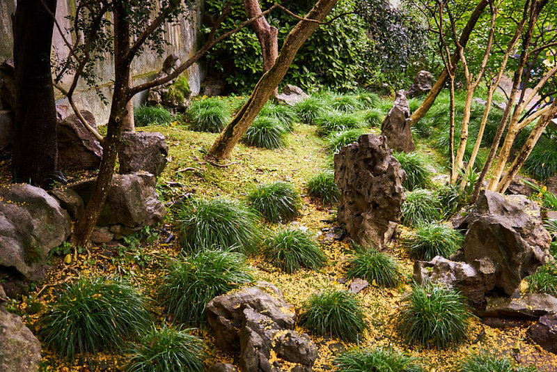 Lingering Garden