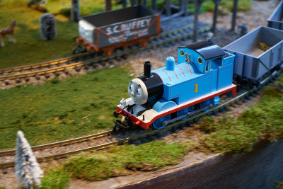 _7R30202.jpg