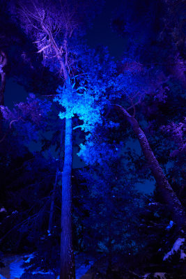 _7R30293.jpg