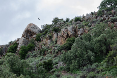 Eagle Rock, South side