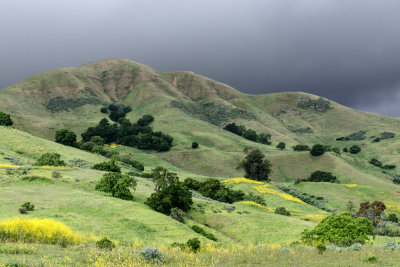Passing rain over blooming slopes of Boccardo