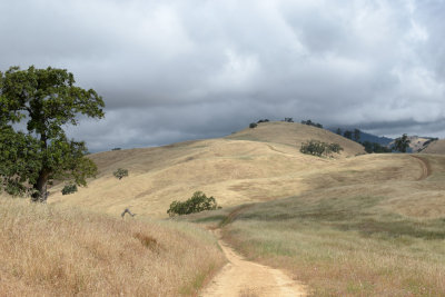 Bonhoff Trail