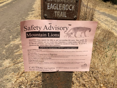 Mountain lion advisory