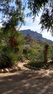 An Afternoon at the Arboretum - March 2017