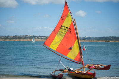DSC_4113.jpg