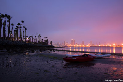DSC_5113A.jpg