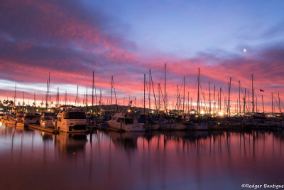 DSC_5286A.jpg