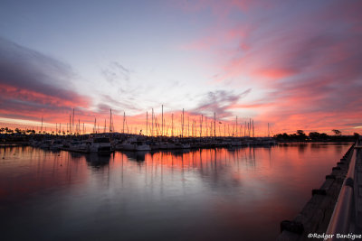 DSC_5330A.jpg