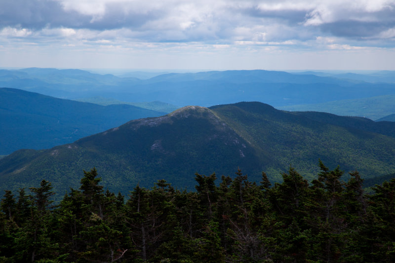 _MG_6298.jpg