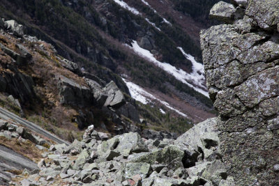 _MG_4085.jpg