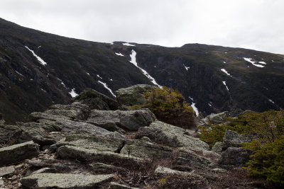 _MG_4131.jpg