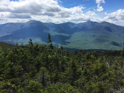 Presidentials