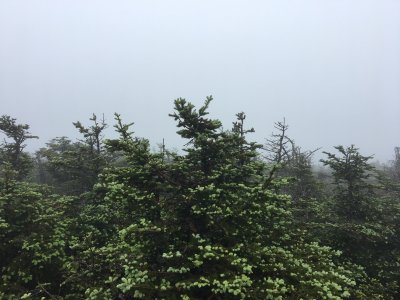 The lovely view 
