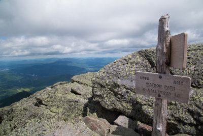 _MG_6267.jpg