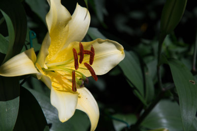 _MG_6335.jpg
