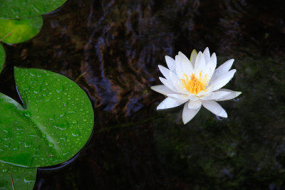 _MG_6633.jpg
