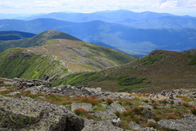 _MG_7147.jpg