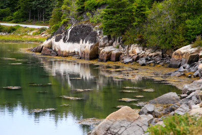 _MG_5224.jpg