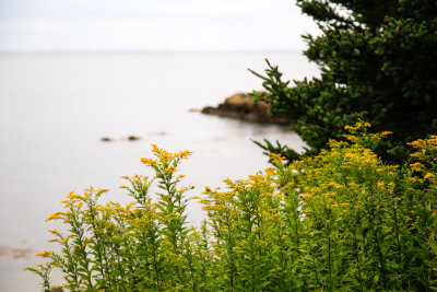 _MG_5185.jpg