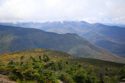 _MG_5951.jpg
