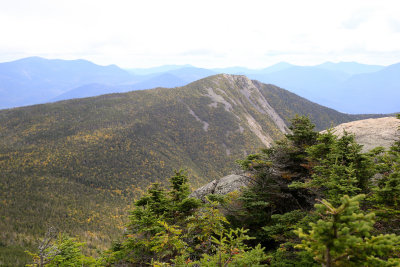 _MG_5958.jpg