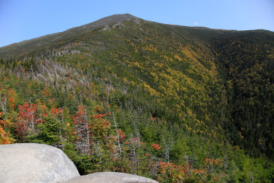 _MG_6512.jpg
