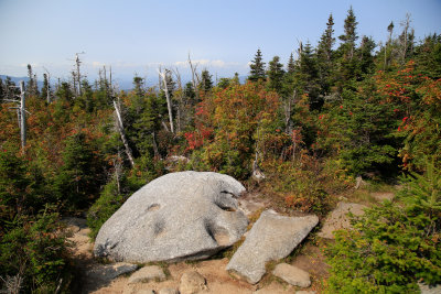 _MG_6525.jpg