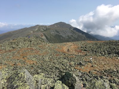 IMG_5952.JPG