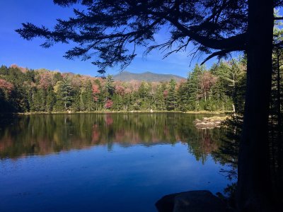 Black Pond in the afternoon