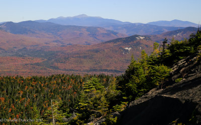 _MG_9500.jpg