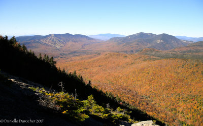 _MG_9505.jpg
