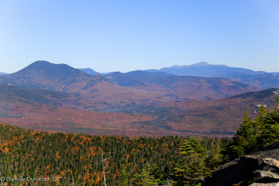 _MG_9539.jpg
