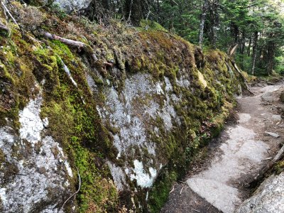 Mount Kinsman Trail
