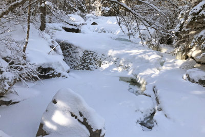 Stream Crossing