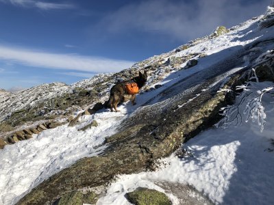 Franconia Ridge 19Feb18