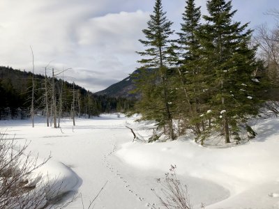 g10/02/5602/3/167202885.8RxhYNes.jpg