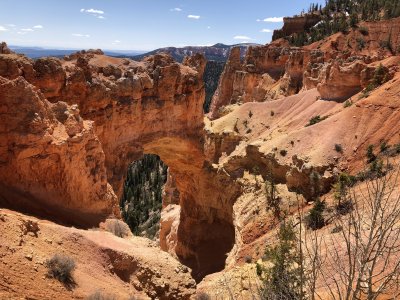 Natural Bridge