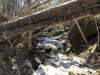 Blowdown on Airline