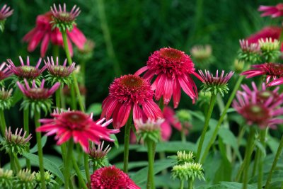 g10/02/5602/3/167770444.5gi39A9r.jpg
