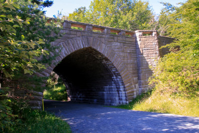 _MG_2528.jpg