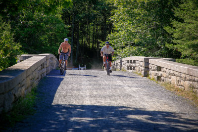 _MG_2547.jpg