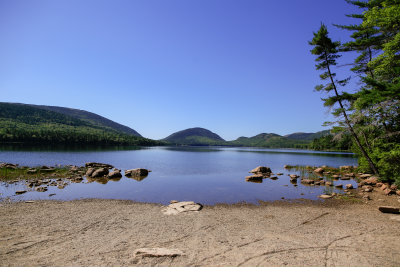 _MG_2584.jpg