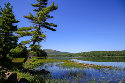 _MG_2605.jpg