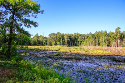 _MG_2394.jpg