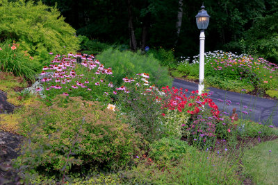 _MG_2710.jpg