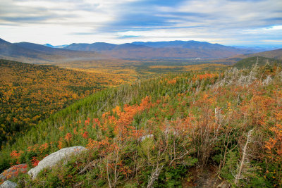_MG_4011.jpg