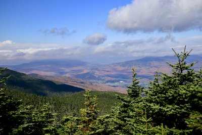 Outlook on Mt. Field